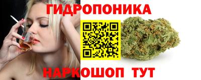 крисы Бузулук