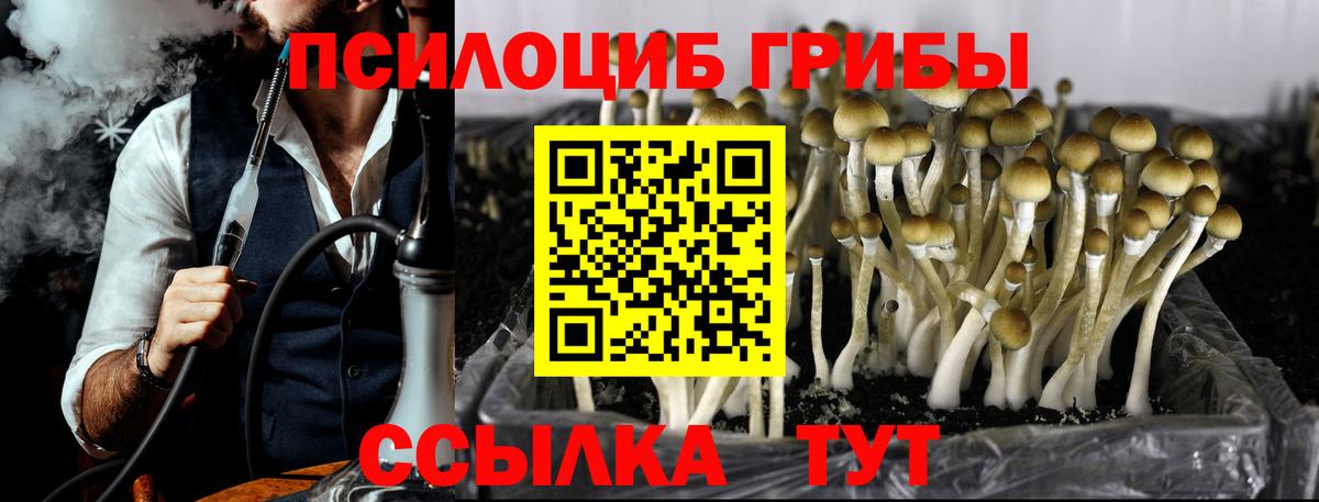 Псилоцибиновые грибы Psilocybe  Вход с VPN  наркотики  Семилуки 